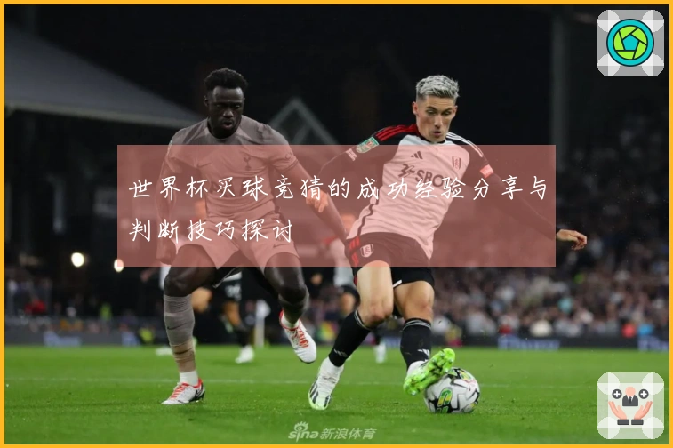 世界杯买球竞猜的成功经验分享与判断技巧探讨