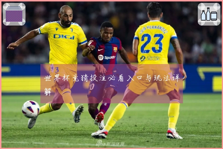世界杯竞猜投注必看入口与玩法详解