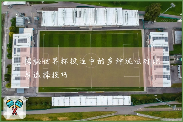揭秘世界杯投注中的多种玩法对比与选择技巧