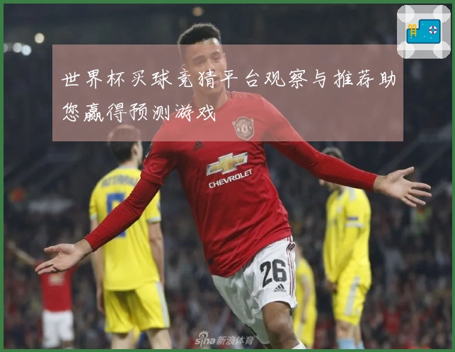 世界杯买球竞猜平台观察与推荐助您赢得预测游戏