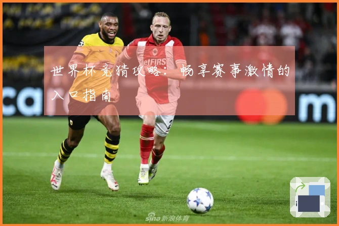 世界杯竞猜攻略：畅享赛事激情的入口指南