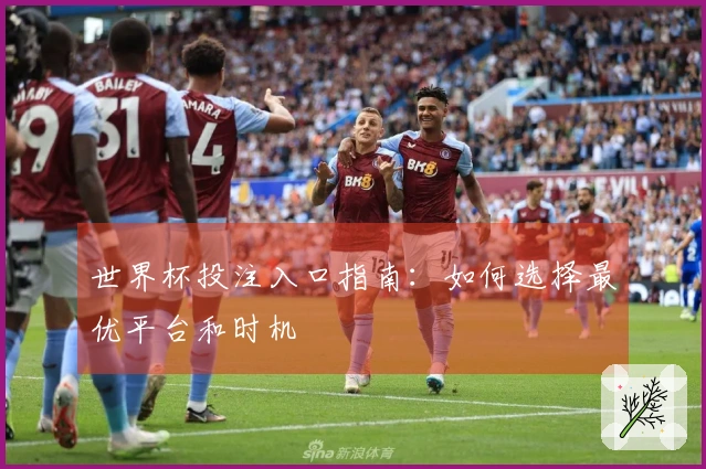 世界杯投注入口指南：如何选择最优平台和时机