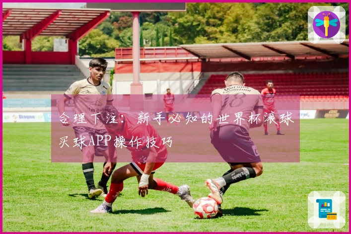 合理下注：新手必知的世界杯滚球买球APP操作技巧