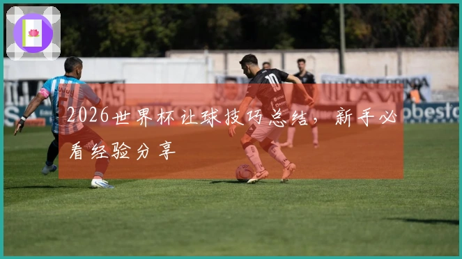 2026世界杯让球技巧总结，新手必看经验分享
