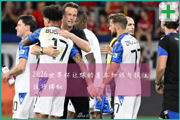 2026世界杯让球的基本知识与投注技巧揭秘