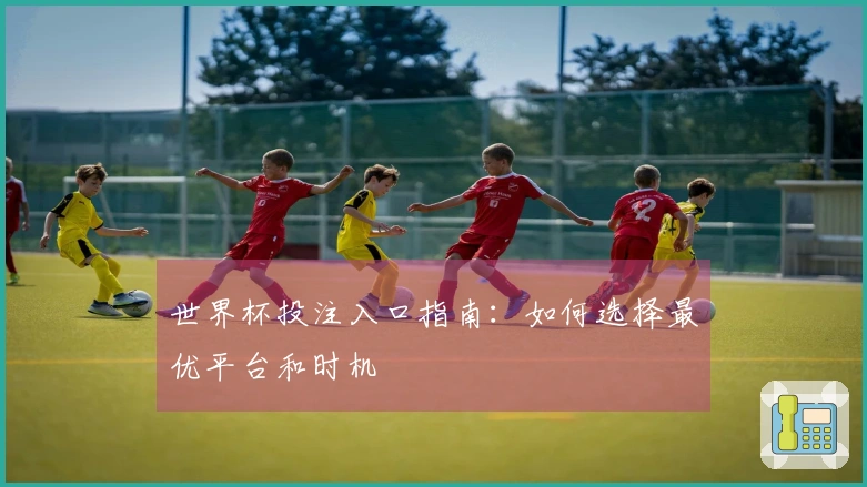 世界杯投注入口指南：如何选择最优平台和时机