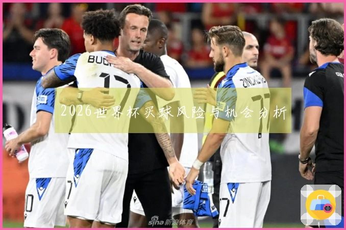 2026世界杯买球风险与机会分析