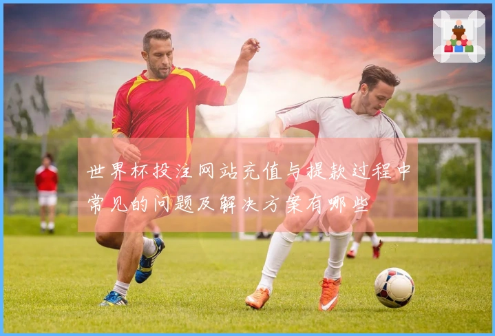 世界杯投注网站充值与提款过程中常见的问题及解决方案有哪些