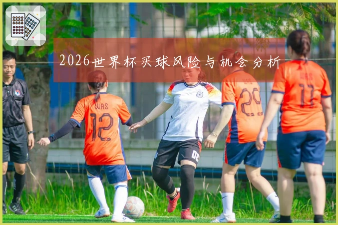2026世界杯买球风险与机会分析