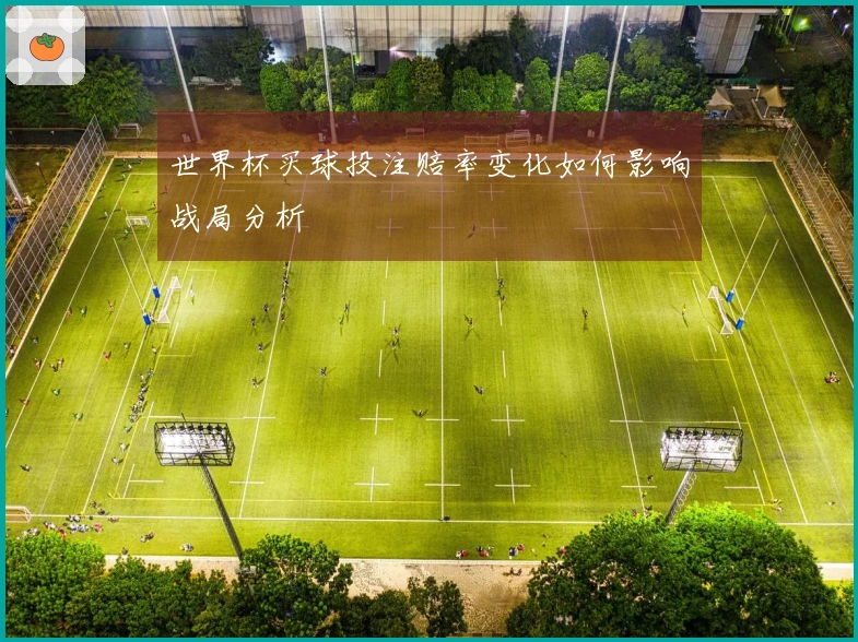 世界杯买球投注赔率变化如何影响战局分析
