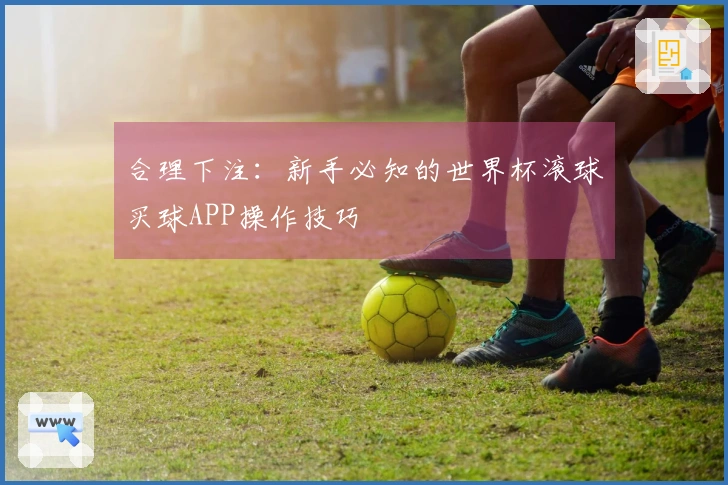 合理下注：新手必知的世界杯滚球买球APP操作技巧