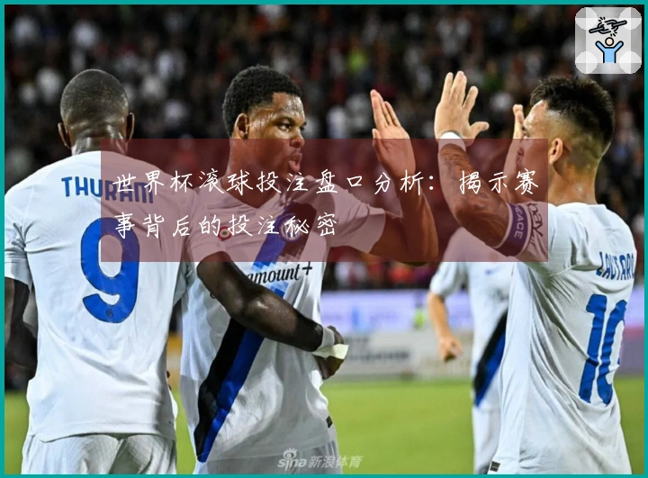 世界杯滚球投注盘口分析：揭示赛事背后的投注秘密