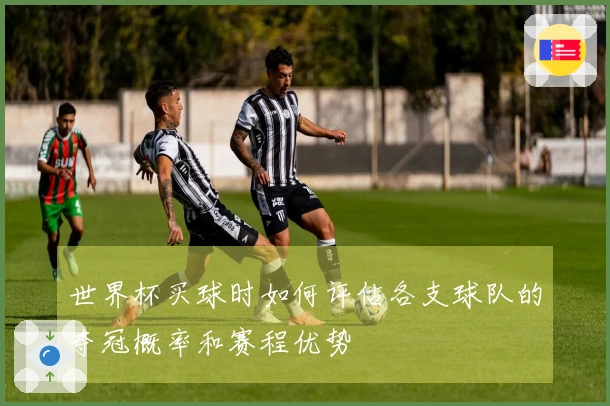世界杯买球时如何评估各支球队的夺冠概率和赛程优势