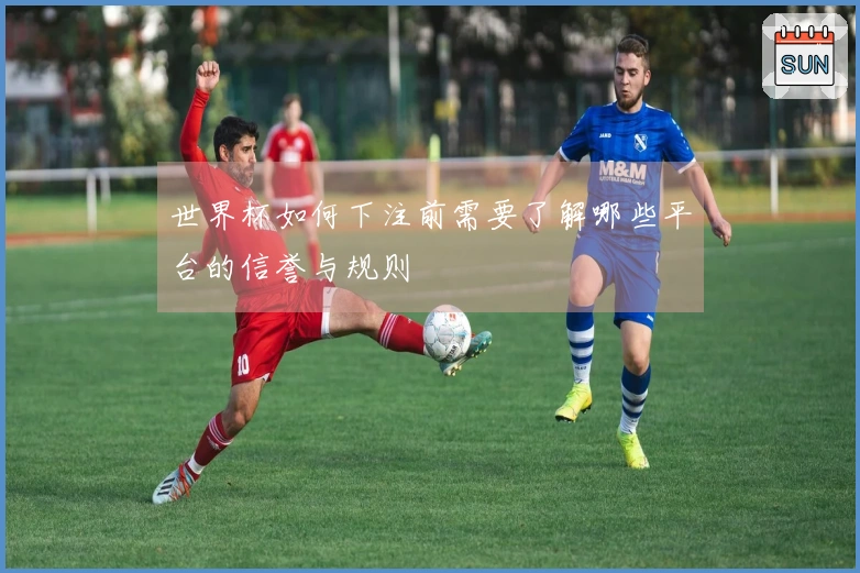 世界杯如何下注前需要了解哪些平台的信誉与规则