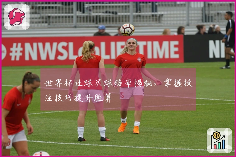 世界杯让球买球赔率揭秘，掌握投注技巧提升胜算