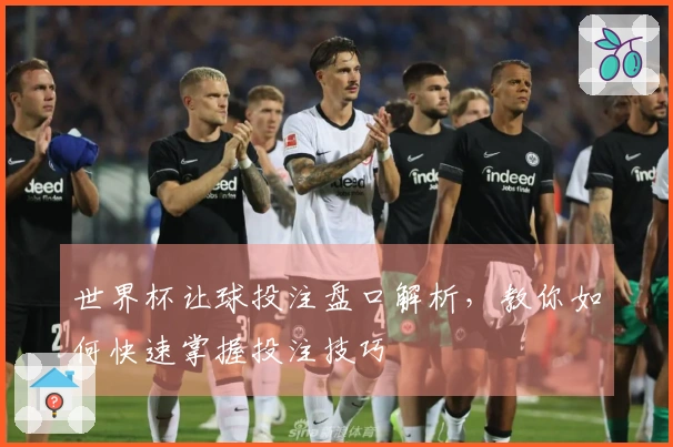 世界杯让球投注盘口解析，教你如何快速掌握投注技巧