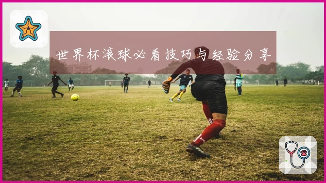 世界杯滚球必看技巧与经验分享
