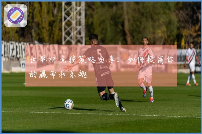 世界杯竞猜策略分享：如何提高你的赢率和乐趣